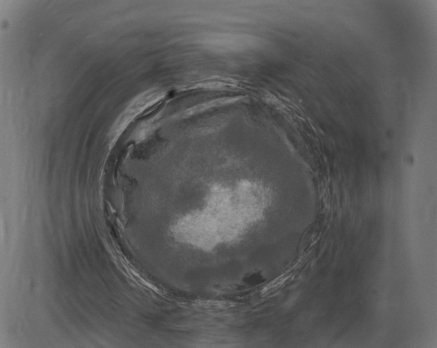 X0000084560242200703091752