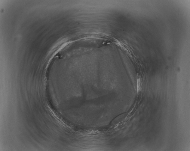 X0000084560243200703091752