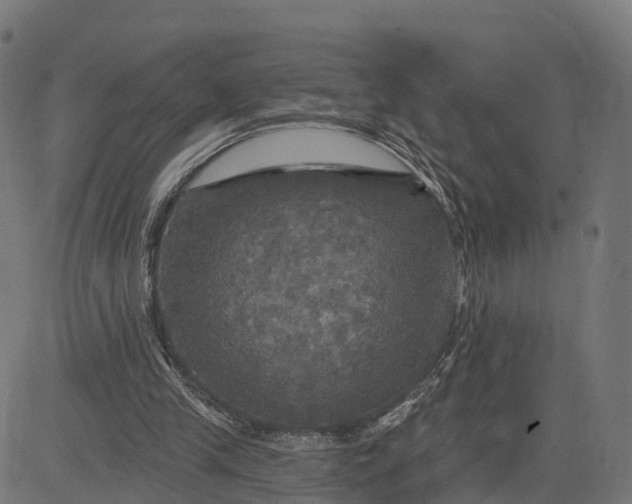 X0000084560245200703091752