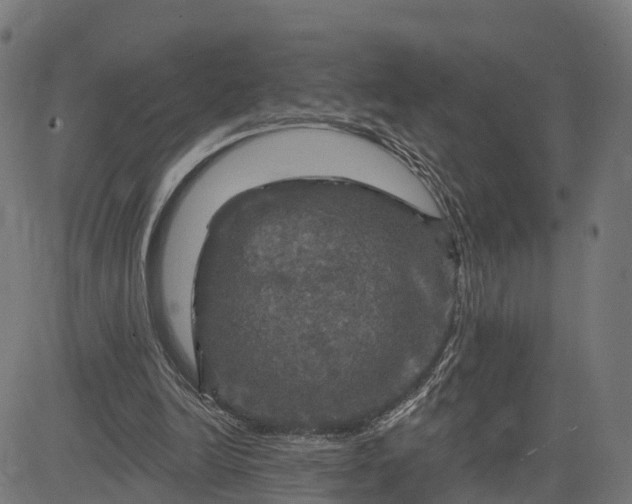 X0000084560246200703091752