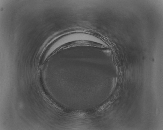 X0000084560247200703091752