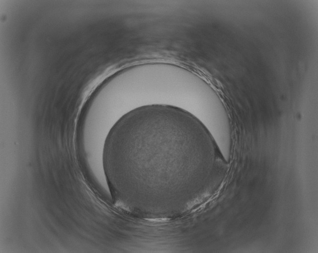 X0000084560248200703091752