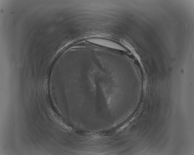 X0000084560249200703091752