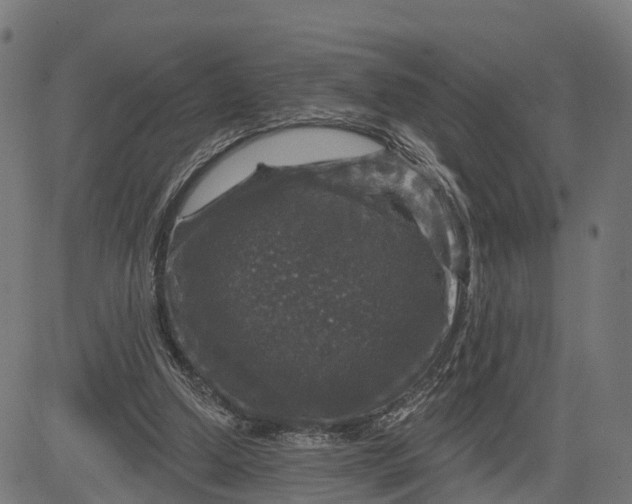 X0000084560250200703091752