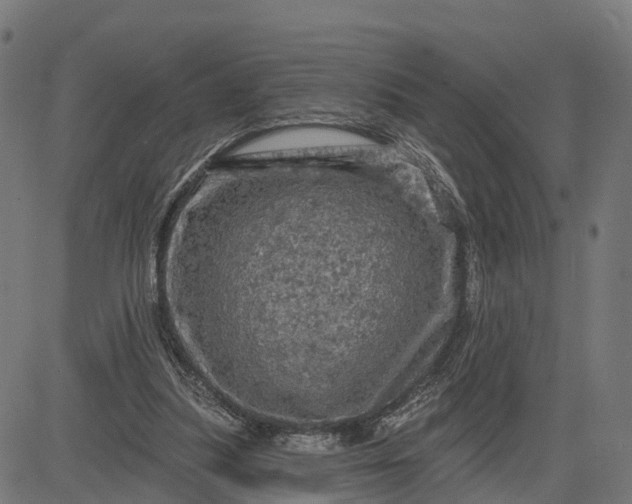 X0000084560251200703091752