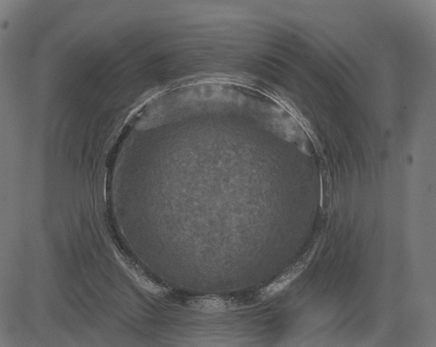 X0000084560253200703091752