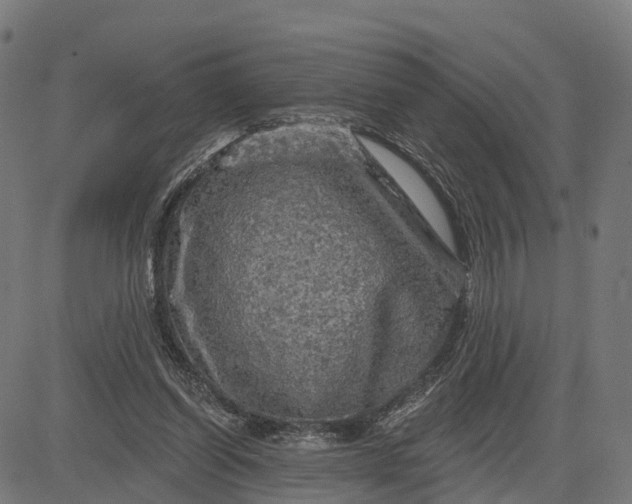 X0000084560254200703091752