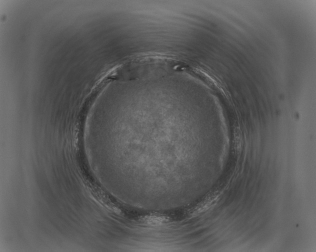 X0000084560255200703091752