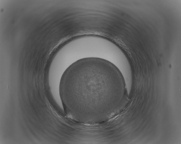 X0000084560256200703091752