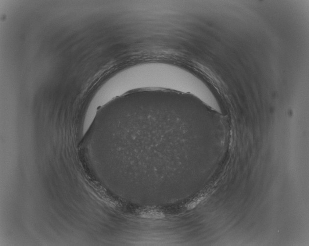 X0000084560258200703091752