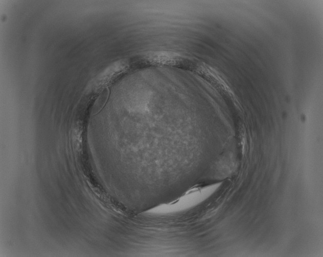 X0000084560259200703091752