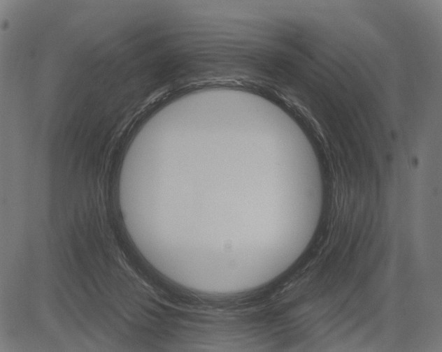 X0000084560260200703091752