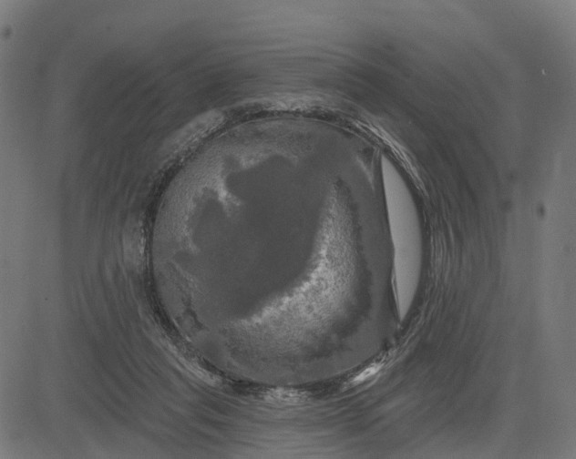 X0000084560261200703091752