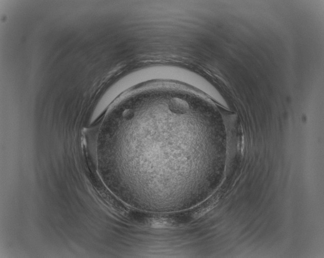 X0000084560264200703091753