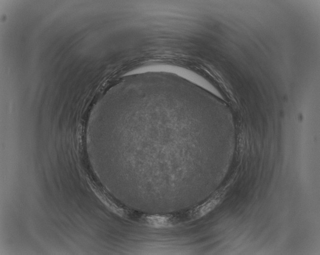 X0000084560265200703091753