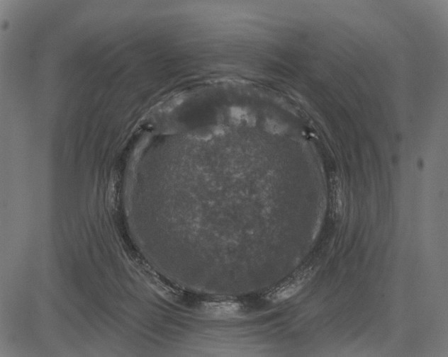 X0000084560266200703091753