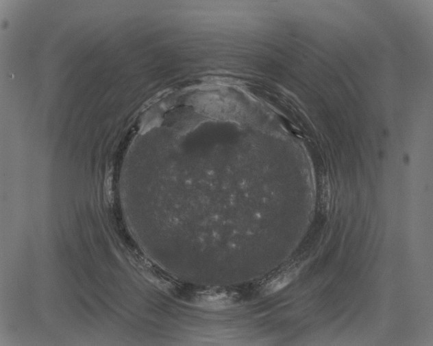 X0000084560267200703091753