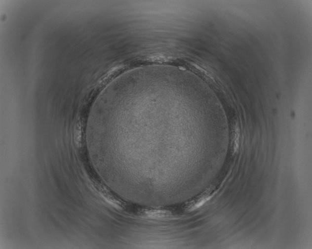 X0000084560268200703091753