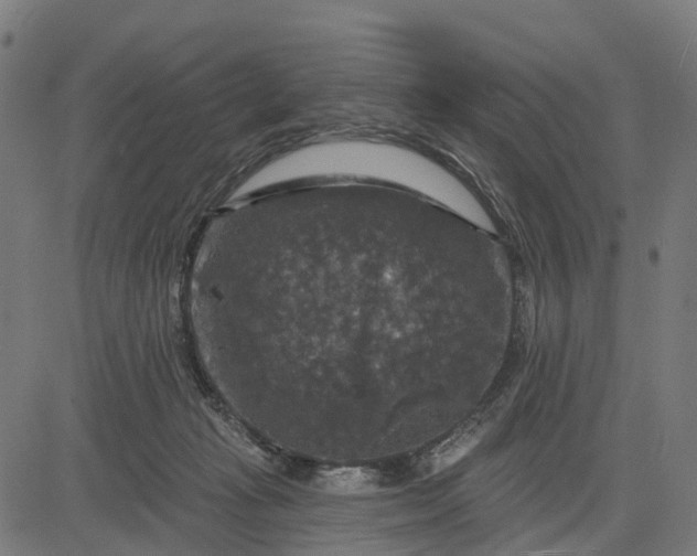 X0000084560269200703091753