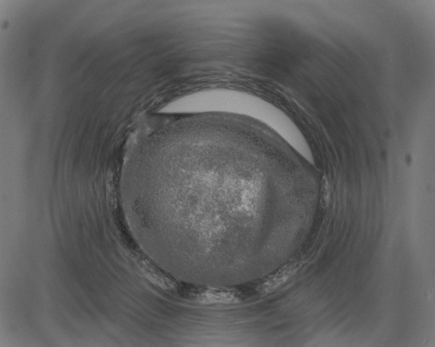 X0000084560270200703091753