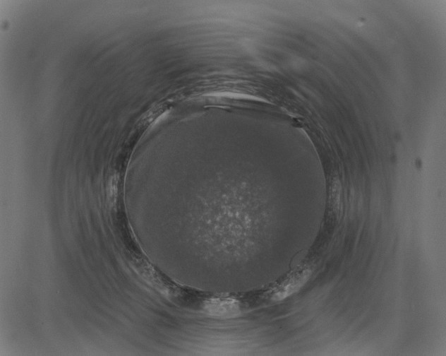 X0000084560271200703091753