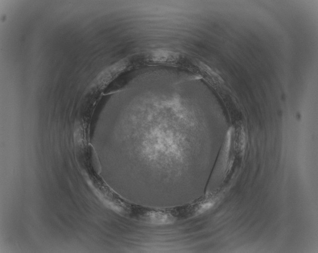 X0000084560272200703091753