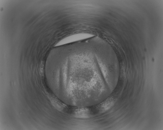 X0000084560274200703091753