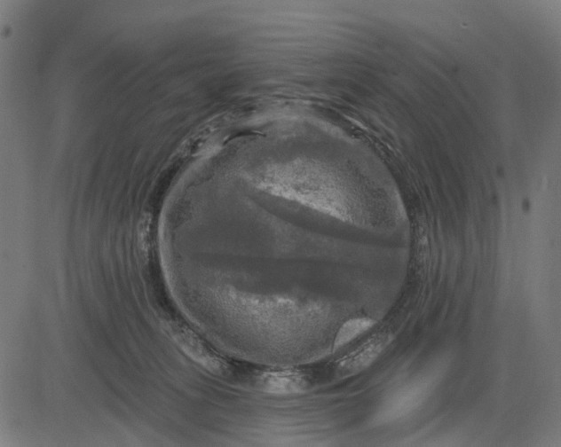 X0000084560275200703091753