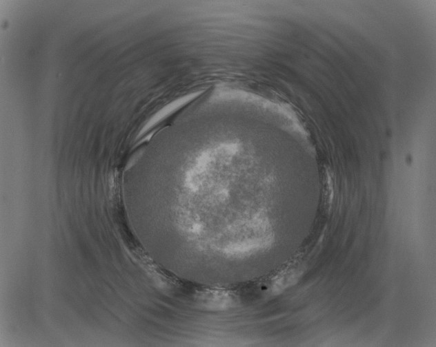 X0000084560276200703091753