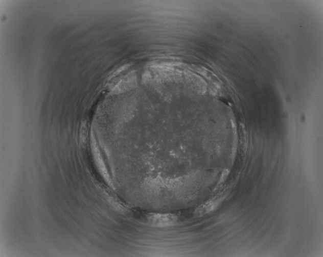 X0000084560277200703091753