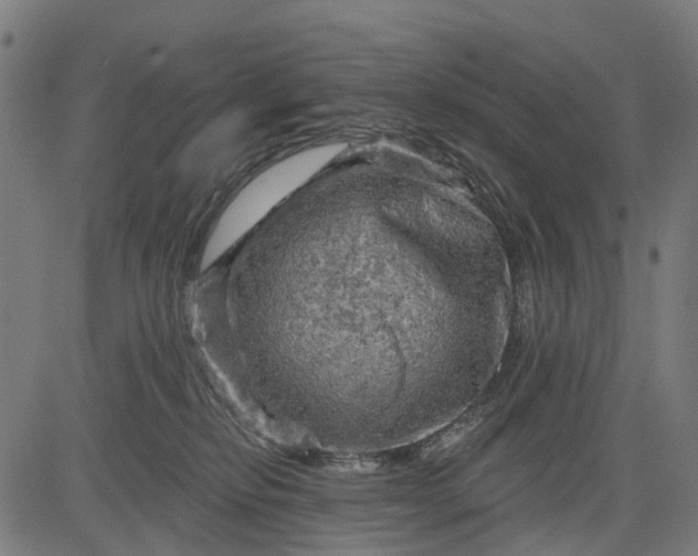 X0000084560278200703091753