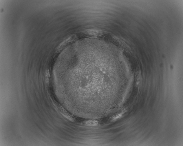 X0000084560279200703091753