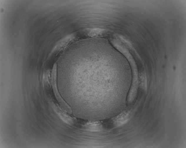 X0000084560280200703091753