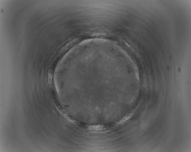 X0000084560281200703091753