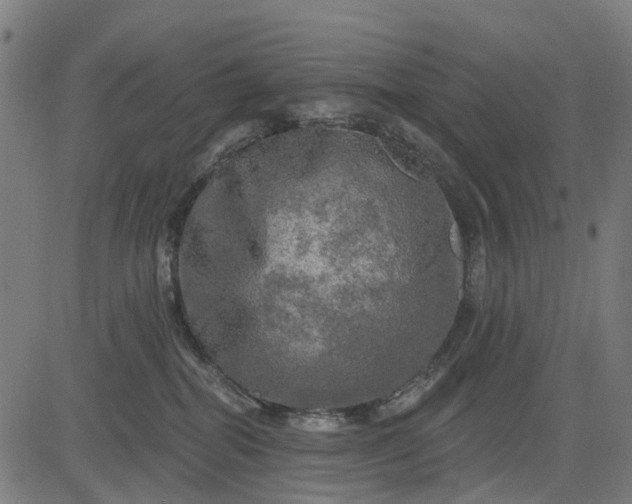 X0000084560282200703091753