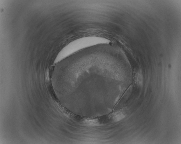 X0000084560283200703091753