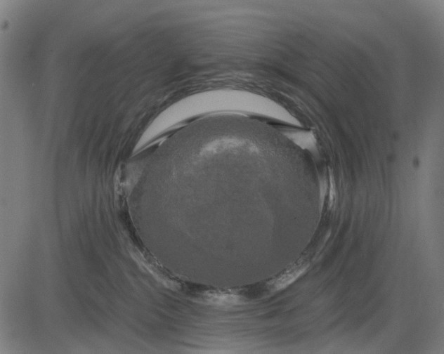 X0000084560284200703091753