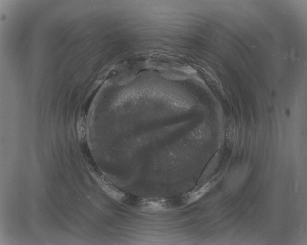 X0000084560285200703091753