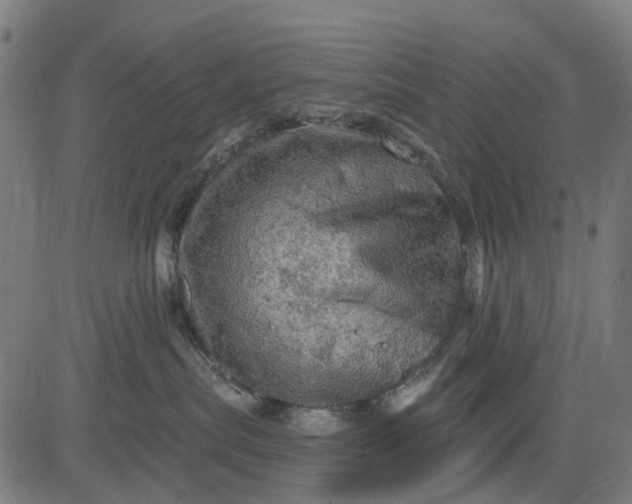 X0000084560287200703091753