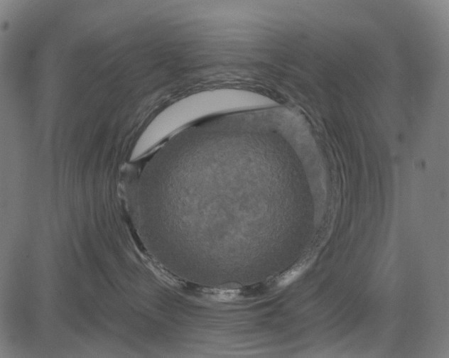 X0000084560288200703091753