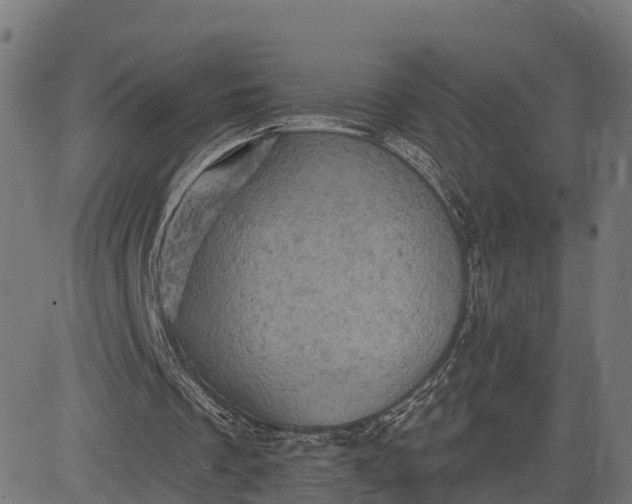 X0000084560289200703091752