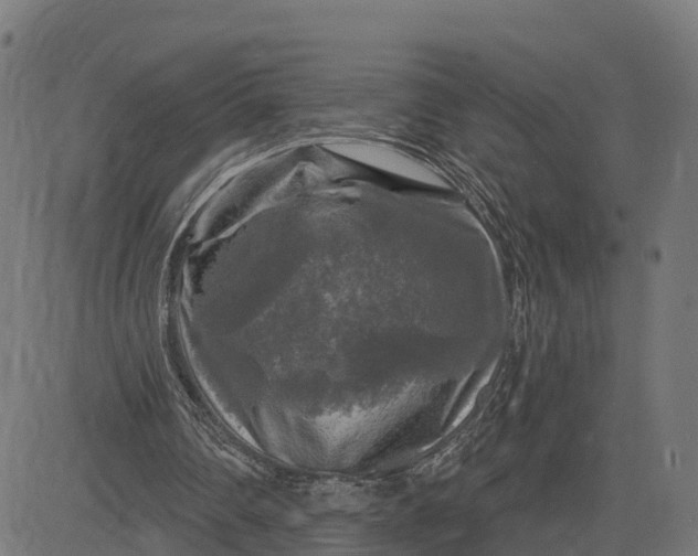 X0000084560290200703091752