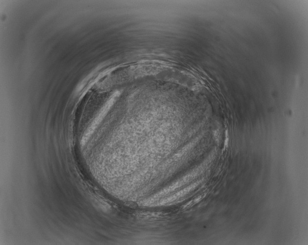 X0000084560291200703091752