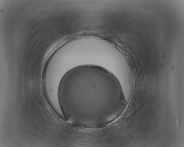 X0000084560293200703091752