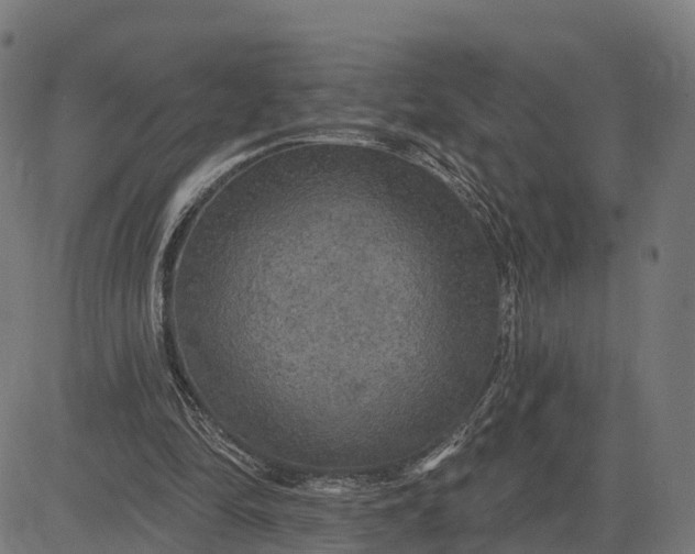 X0000084560294200703091752