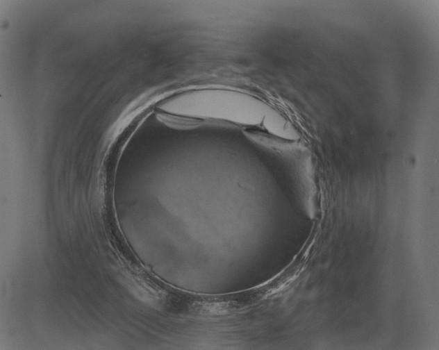 X0000084560295200703091752