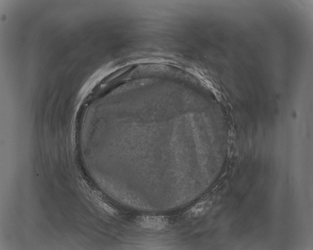 X0000084560296200703091752