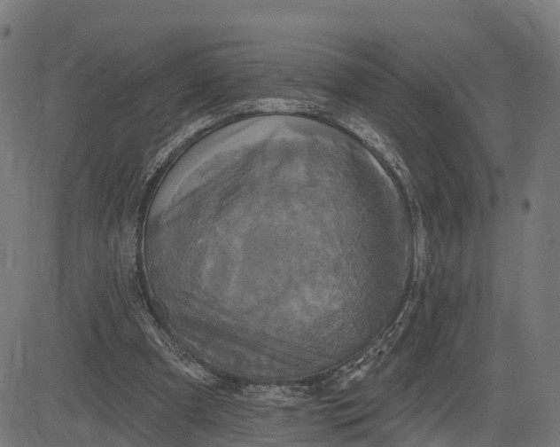 X0000084560297200703091752