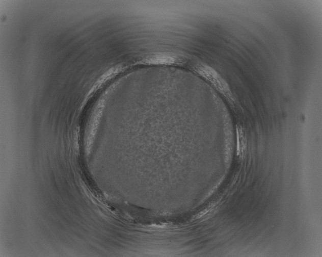 X0000084560300200703091752