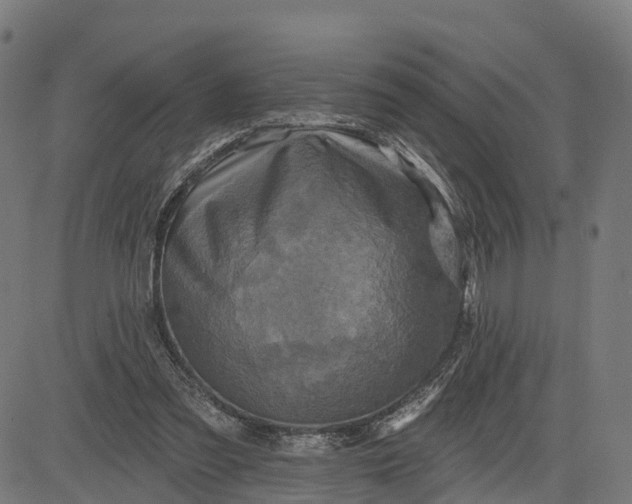 X0000084560301200703091752